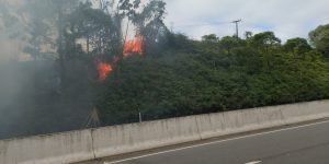 Queimadas: Comandante alerta para o alto risco no verão