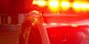 Homem é preso após agredir mulher grávida e matar filhote de gato em Guaramirim