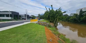 Capivaras na pista motivam nova sinalização em rua de Jaraguá do Sul