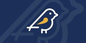 Aplicativo Pardal recebe mais de 4 mil denúncias no 1º fim de semana de campanha eleitoral