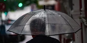 Foto: Ricardo Wolffenbüttel/ SECOM