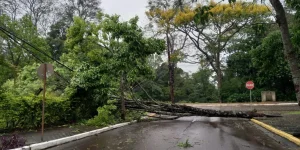 Com 6 mortos e mais de 140 cidades com estragos, SC tem ventos de 100 km/h e novos danos