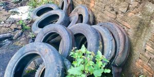 Guaramirim passa a divulgar boletim epidemiológico da dengue e chikungunya