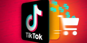 PROCON de Santa Catarina investiga reclamações sobre acesso a notas fiscais no TikTok Shop