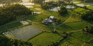 SC bate novo recorde no agro com VPA de R$ 75,1 bilhões e crescimento de 12% em 2025 