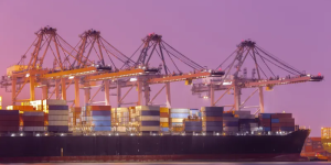 Indústria de SC mira Norte da África para ampliar exportações e reduzir dependência de mercados tradicionais