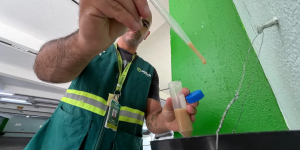 Jaraguá do Sul reduz presença do mosquito da dengue e registra queda nos focos do Aedes aegypti