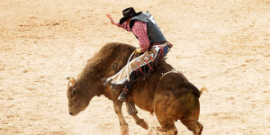 Justiça determina que rodeio em Jaraguá do Sul cumpra regras de proteção animal