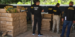 Fiscalização intercepta quase 2,5 toneladas de maconha escondidas em carga de repolho