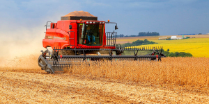 Valor de produção agrícola atinge recorde de R$ 927,2 bilhões, impulsionado por safra de grãos