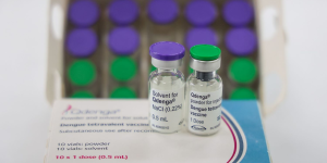 SES reforça vacinação contra a dengue para adolescentes em Santa Catarina