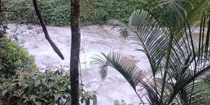 Fujama coleta amostras após identificar espuma no Rio Jaraguá, em Jaraguá do Sul