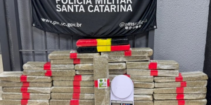 Mais de uma tonelada de maconha é apreendida em diferentes regiões do Estado no fim de semana  