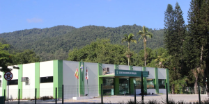 Jaraguá do Sul lidera desempenho no Ideb entre maiores municípios de SC