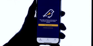 TRE-SC disponibiliza canais alternativos para denúncias de propaganda eleitoral irregular