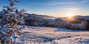 Frio intenso segue em Santa Catarina com geada ampla e temperaturas negativas