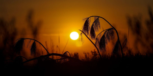 Sol volta a aparecer em Santa Catarina no fim de semana, com temperaturas de até 30°C