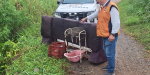 Defesa Civil recolhe móveis e entulhos na beira de rios de Jaraguá do Sul