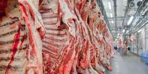 China começa a cobrar sobretaxa de 55% sobre carne bovina brasileira acima da cota; entenda o impacto para o consumidor brasileiro