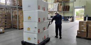Santa Catarina inicia distribuição de mais 300 mil de doses e reforça pedido de vacinação contra a gripe