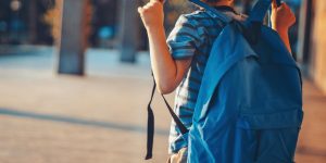 Educação de Guaramirim divulga calendário letivo para 2024