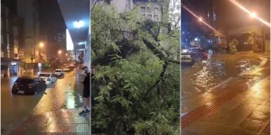 Temporal alaga ruas, provoca queda de árvores e ventos de 100 km/h em SC