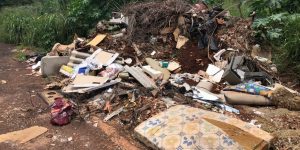 Terrenos abandonados: vereador sugere penalidades mais severas aos proprietários em Jaraguá do Sul