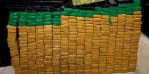 Mais de 440 quilos de drogas são apreendidos em Joinville